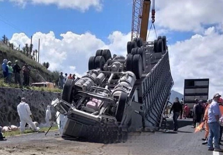 Volcadura De Que Transportaba Cerdos Deja A Dos Personas Heridas