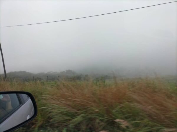 Densa neblina sorprende a Acatlán la mañana de hoy