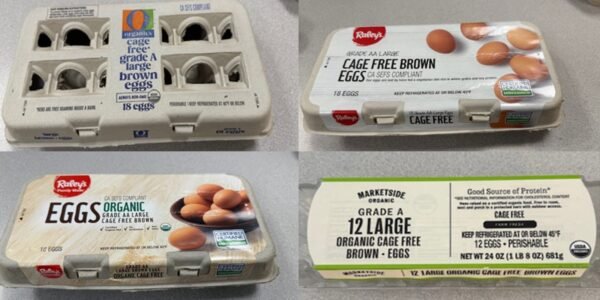 Alerta por huevos contaminados en EU