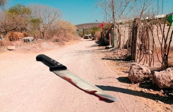 Ladrón muere en riña doméstica