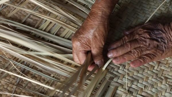 Tejido ancestral, futuro incierto
