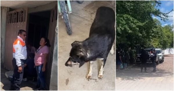 Indigente intoxicado por salchichas envenenadas en Izúcar