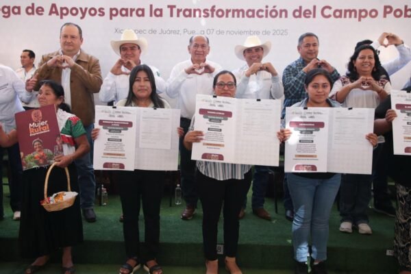 Sierra norte se mantiene de pie con apoyos para transformar el campo en Xicotepec y Huauchinango