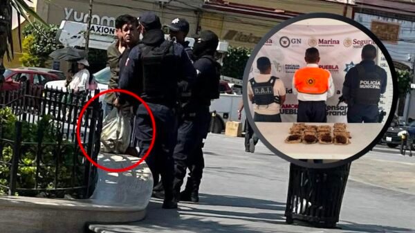 Vendían brownies de “mota” en pleno zócalo de Izúcar