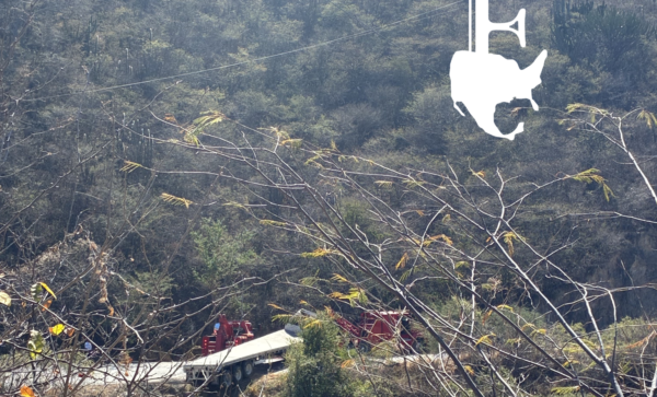 Tráiler casi se sale de carretera