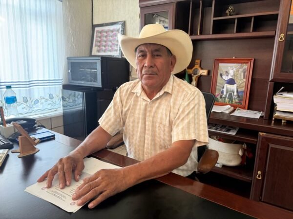 Productores detienen cosecha de caña, para elevar contenido de azúcar: CNC