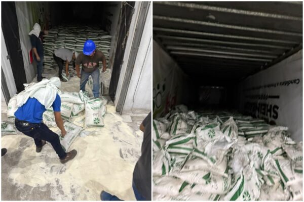 Ratas se robaron 55 bultos de azúcar en rapiña en Calmeca