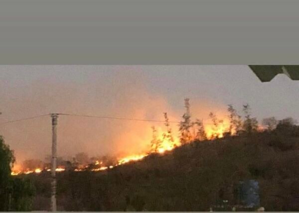 Adulto mayor muere en incendio forestal en Tulcingo