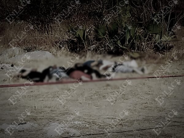 Hallan seis cuerpos en Huehuetlán El Grande