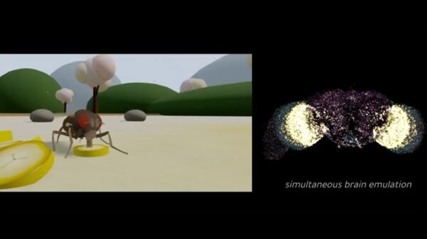 Científicos logran emular cerebro de mosca en simulación digital
