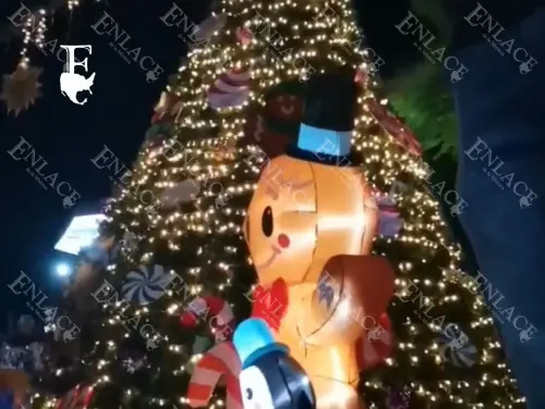 Desfile y encendido del árbol en Chietla 2024 (12)